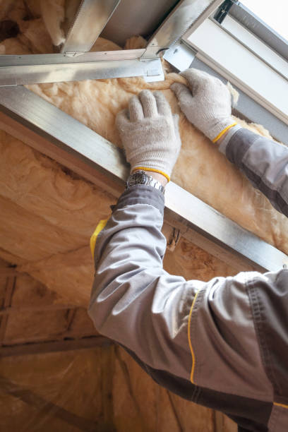 Best Residential Insulation in St Charles, MO